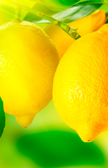 I Babà al Limoncello